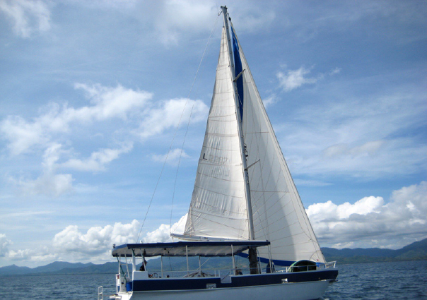 Sailing Basics!