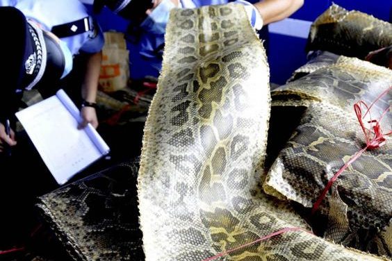 Illegal wildlife trade is one of the biggest threats to endangered species