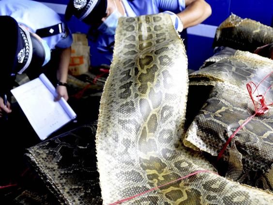 Illegal wildlife trade is one of the biggest threats to endangered species