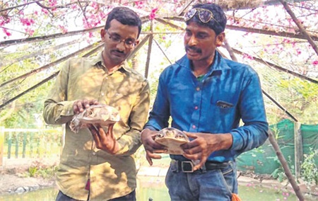 Indore: Students showcase good gesture, give turtles to local zoo