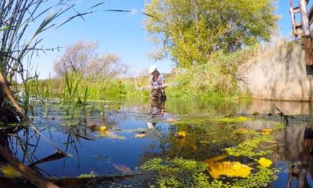 How the growing “one water” movement is not only helping the environment but also saving millions of dollars