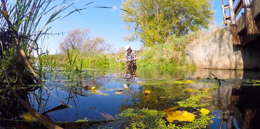 How the growing “one water” movement is not only helping the environment but also saving millions of dollars