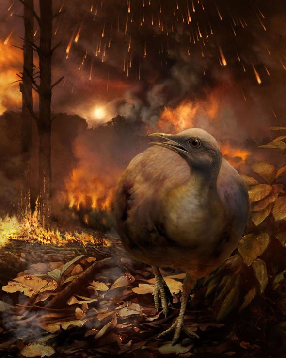 How Did Dino-Era Birds Survive the Asteroid ‘Apocalypse’?