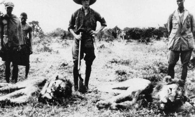 Hunting Big Game: Why People Kill Animals for Fun