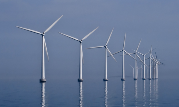 Clean vs green: Will India’s offshore wind energy push threaten biodiversity?