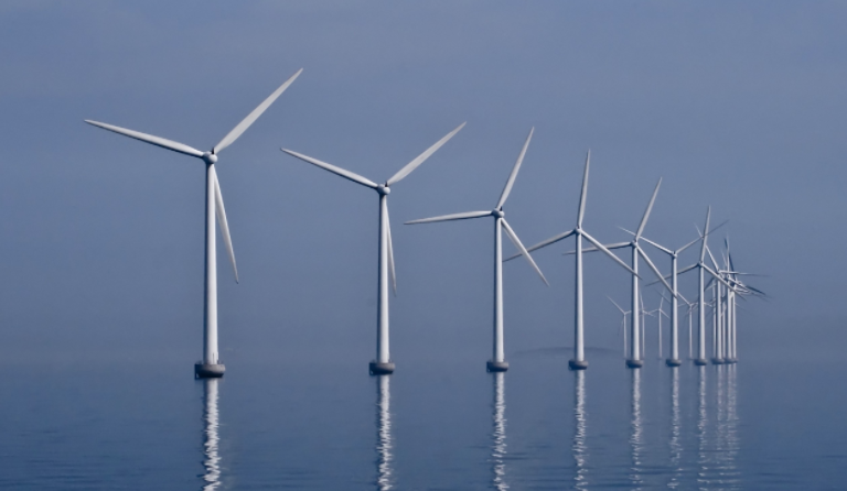 Clean vs green: Will India’s offshore wind energy push threaten biodiversity?