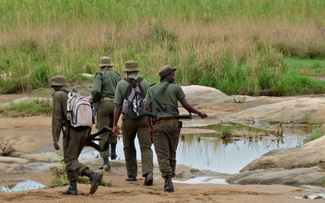 Wildlife Rangers Face A ‘Toxic Mix’ of Mental Strain and Lack of Support