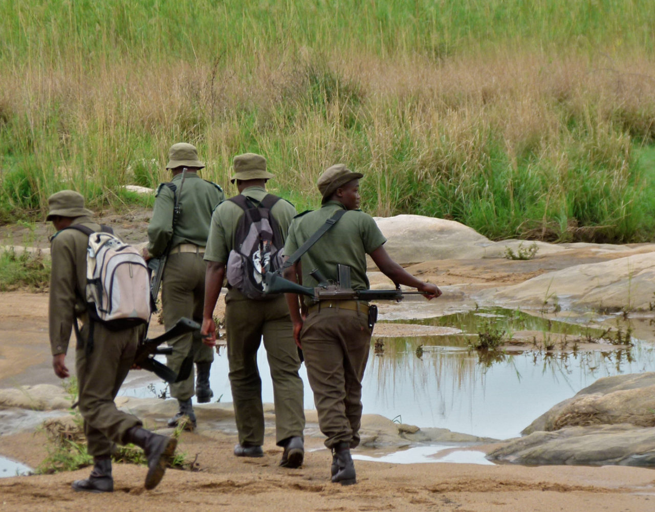 Wildlife Rangers Face A ‘Toxic Mix’ of Mental Strain and Lack of Support