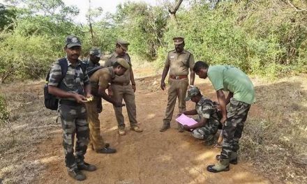 Wildlife census begins at Sathyamangalam reserve