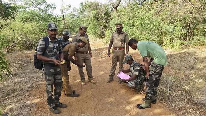 Wildlife census begins at Sathyamangalam reserve