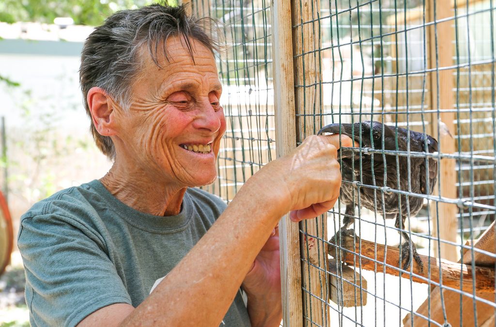 Caring for Injured Wildlife in the Eastern Sierras