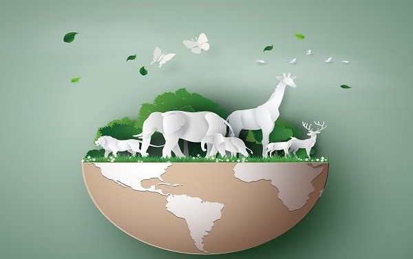 Earth Day 2019: 5 simple things we can do for our planet