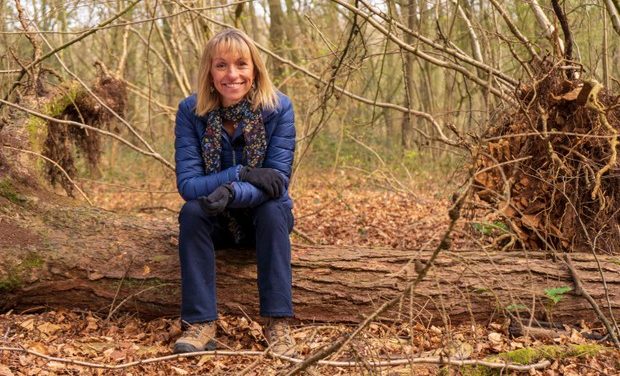 Largest ever survey of England’s forest wildlife