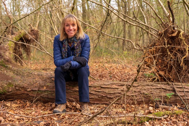 Largest ever survey of England’s forest wildlife