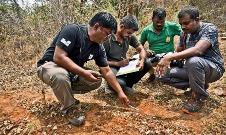 Wildlife census conducted at seven forest ranges