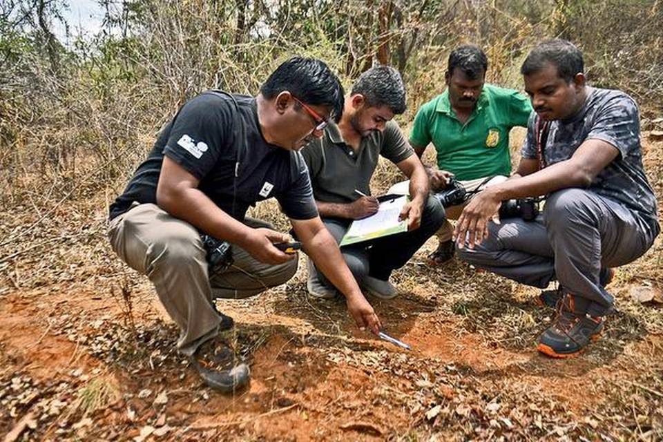 Wildlife census conducted at seven forest ranges