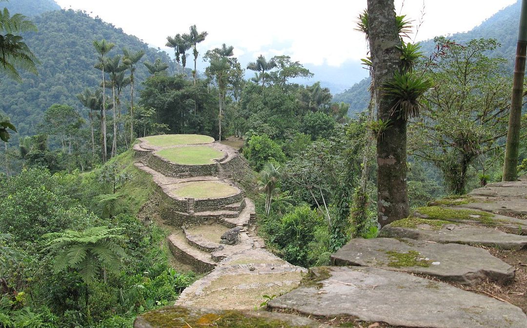 Hundreds of extinct creatures found in Honduras’ ‘Lost City of The Monkey God’