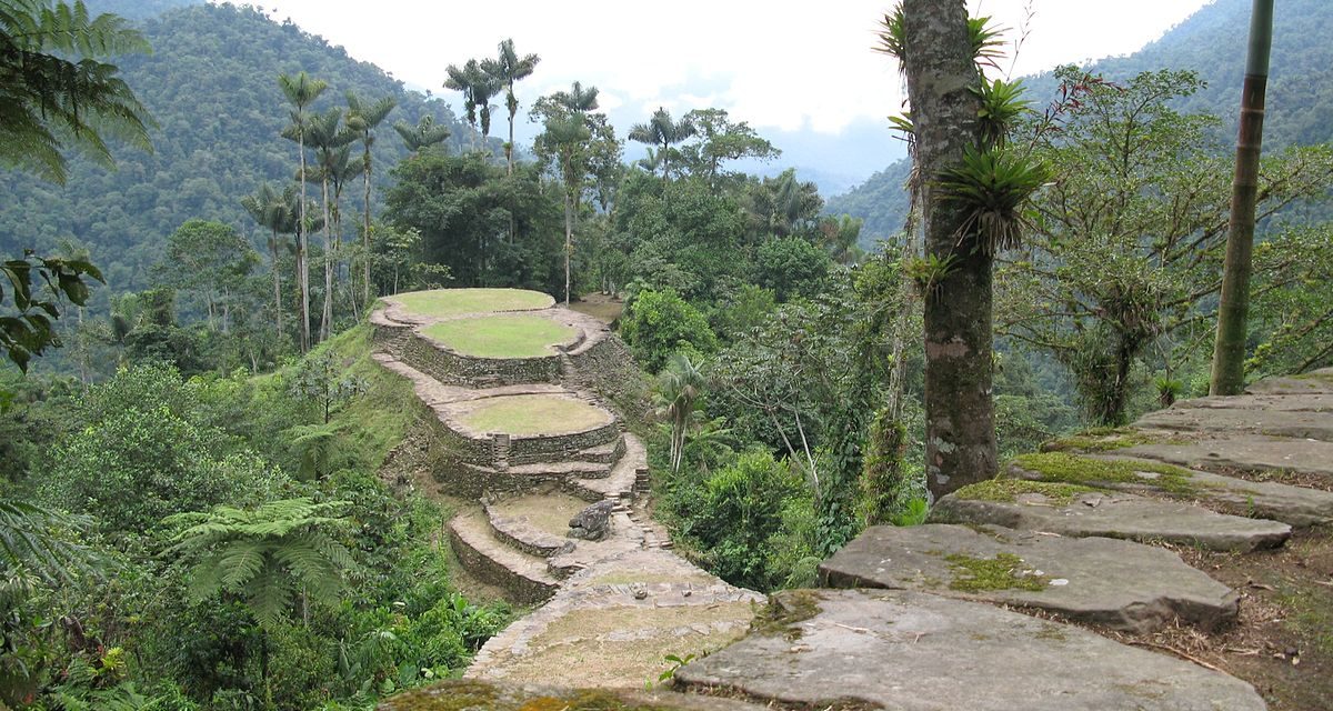 Hundreds of extinct creatures found in Honduras’ ‘Lost City of The Monkey God’