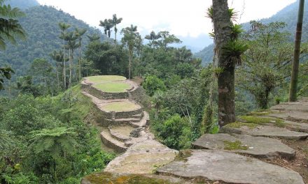 Hundreds of extinct creatures found in Honduras’ ‘Lost City of The Monkey God’