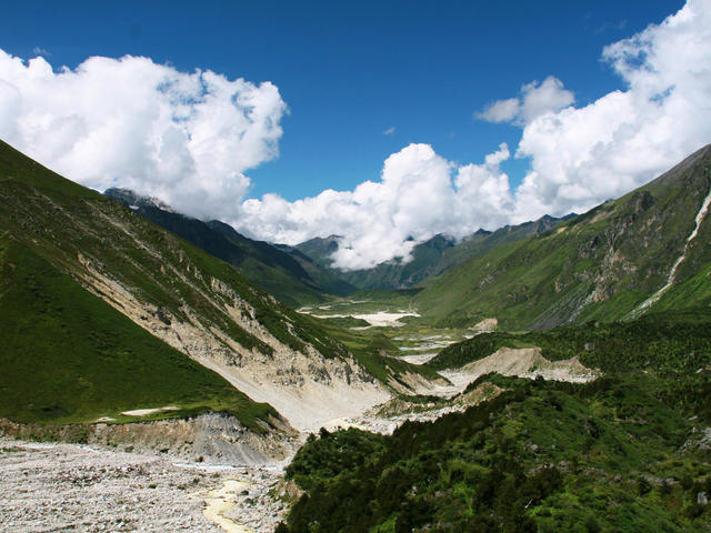 Himalayan flora-fauna in critical phase to global warming: Scientists