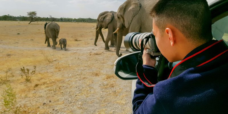 More than 70 photographers raise funds for wildlife