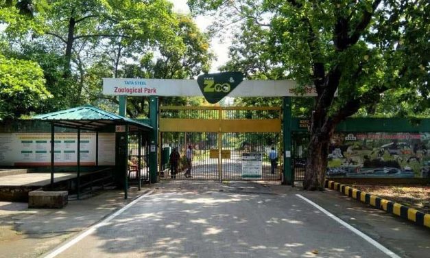 Tata zoo gets ready for annual wildlife week from September 30