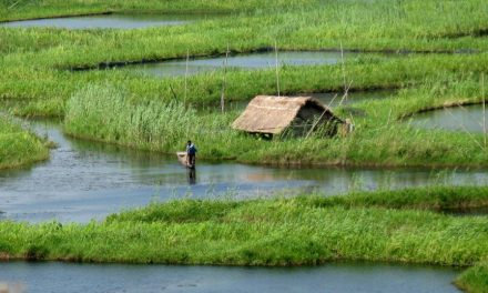 Mystical Floating Islands of Loktak Lake