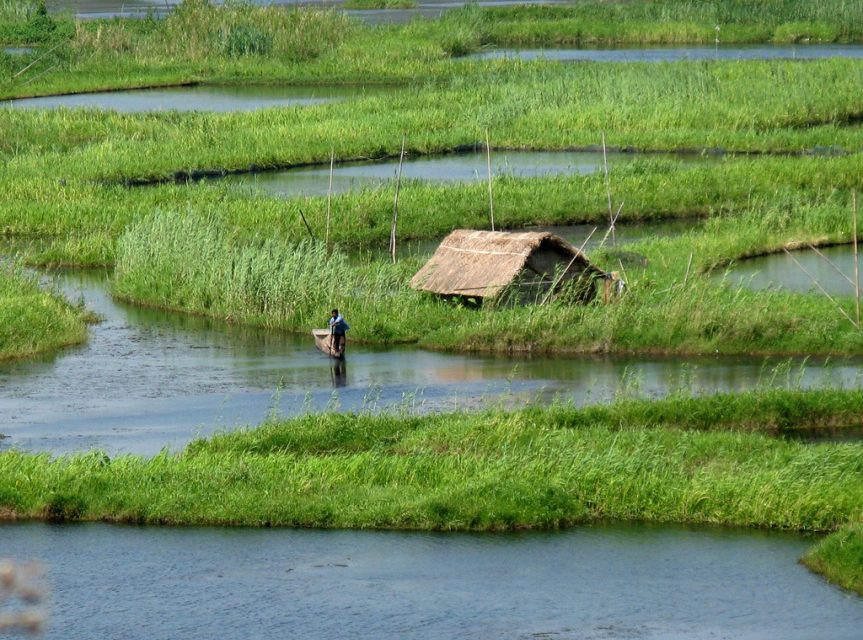 Mystical Floating Islands of Loktak Lake