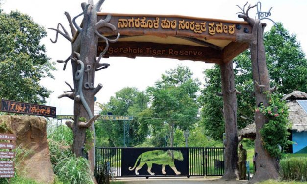 Wildlife Week: Forest Dept. To Undertake Survey Of Butterflies At Nagarahole