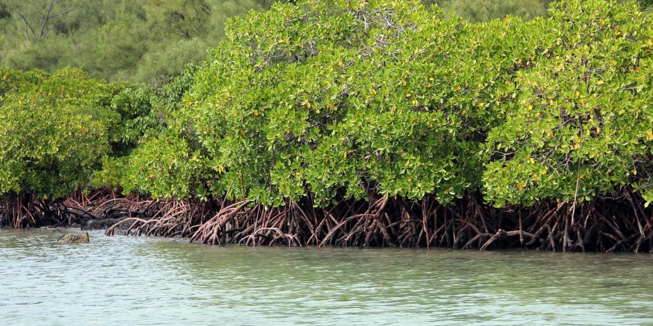 Sustainability….